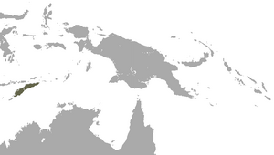 Timor Shrew area.png