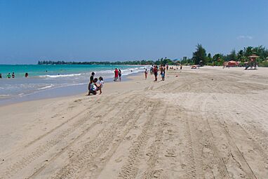 Tracks - panoramio (4)