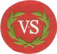 Valiant Stormer patch