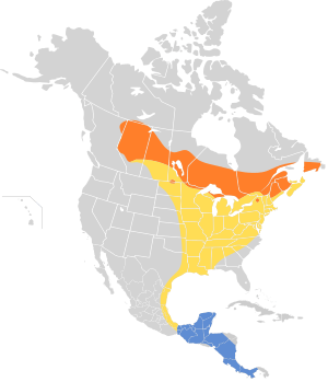 Vireo philadelphicus map.svg