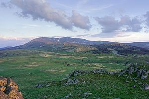 Vitosha platoto