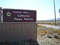 Antelope poppy reserve