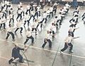 Associació Catalana de Choy Li Fut, Tai Chi Chuan i Chi Kung