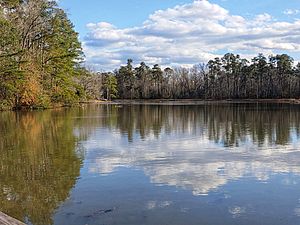 Barnwell State Park SC.jpg