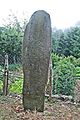 Barre statue-menhir Cantoul