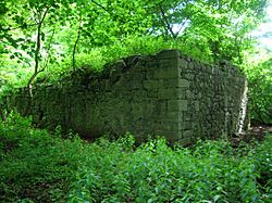 Crosbie Castle, Fullarton, Troon, Ayrshire.JPG