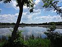 A placid lake reflects the clouds in the blue sky above it. A dark tree crosses the foreground.