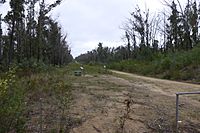 East Gippsland Rail Trail Stevage