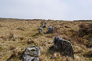 Eylesbarrow flat rods 2