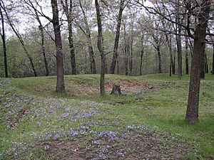 Gees slough effigy mounds 2