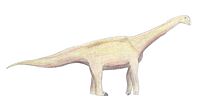 Haestasaurus life restoration.jpg