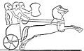 Hittite Chariot