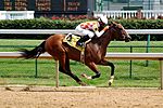 Horseracing Churchill Downs.jpg