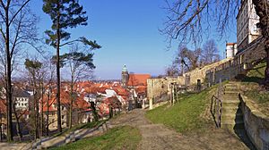 Human rights memorial Castle-Fortress Sonnenstein 117956973.jpg