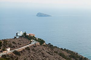 Isla de Benidorm, España, 2014-07-02, DD 44