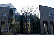 Jagiellonian University Auditorium Maximum (east elevation) and oak „Franciszek”, 33 Krupnicza street,Krakow,Poland