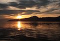 Maude Roxby Wetlands sunset