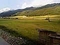 Paddy fields manipur