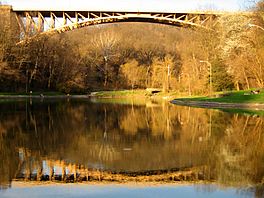 A picture of the lake with the Panther Hollow Bridge rising above it