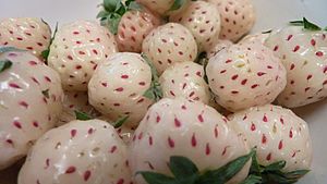 Pineberries.jpg