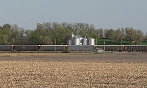 Grain elevator and train in Preston