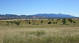 San Rafael Valley Arizona 2014.JPG