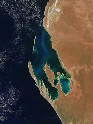 Shark Bay Phytoplankton in Bloom.jpg