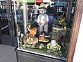 StHeliersAucklandShopWindowDisplay