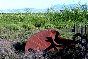 Suisun Marsh