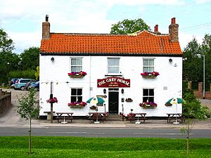 The Grey Horse Inn, Elvington - geograph.org.uk - 23223