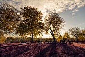 The Royal Botanic Garden Edinburgh