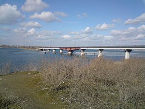 Varvarovskiy Bridge-1