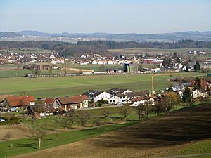 Waltenschwil Buelisacher