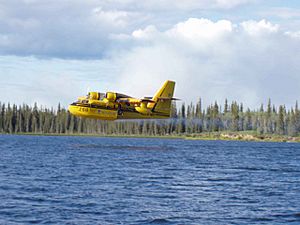 Waterbomber arcraft plane