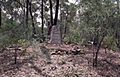 William Wyndhams gravesite and remnant orchard trees (2004)