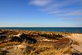 2010-11-26 3060x2040 portage indiana dunes