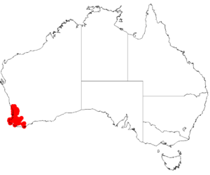 Acacia huegeliiDistMap445.png