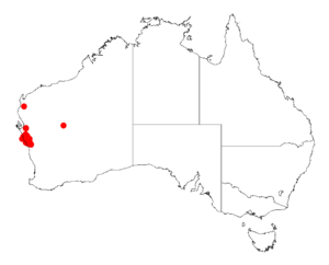 Acacia oldfieldiiDistMap648.png