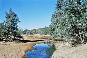 Alice Springs