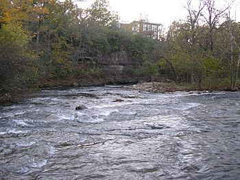 Beargrass creek.jpg