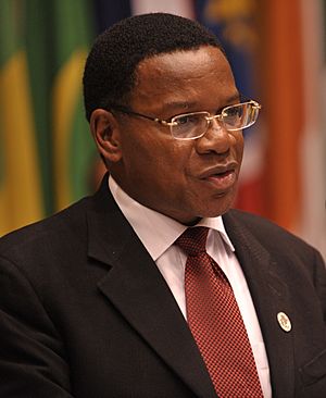 Bernard Membe 2009 (cropped).jpg