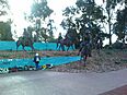 Boer War Memorial Canberra horses.jpg