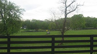 Bone Mound II site overview.jpg