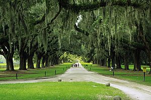 Boone-hall-avenue-of-oaks-sc1