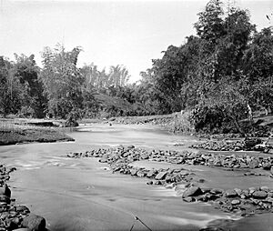 COLLECTIE TROPENMUSEUM Rivier de Brantas Surabaya Java TMnr 10018418