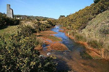 Carnon River near Point Mills - geograph.org.uk - 1234714.jpg