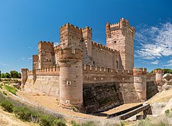 Castillo de la Mota 2021.jpg