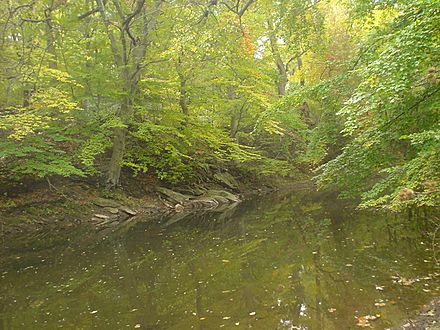 Chester Creek Upland