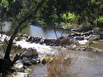 Cockburn-River-rock-chute Tamworth.jpg