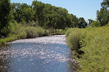 Conejos River.JPG